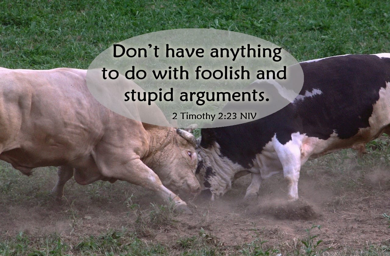 Avoid Foolish and Stupid Arguments