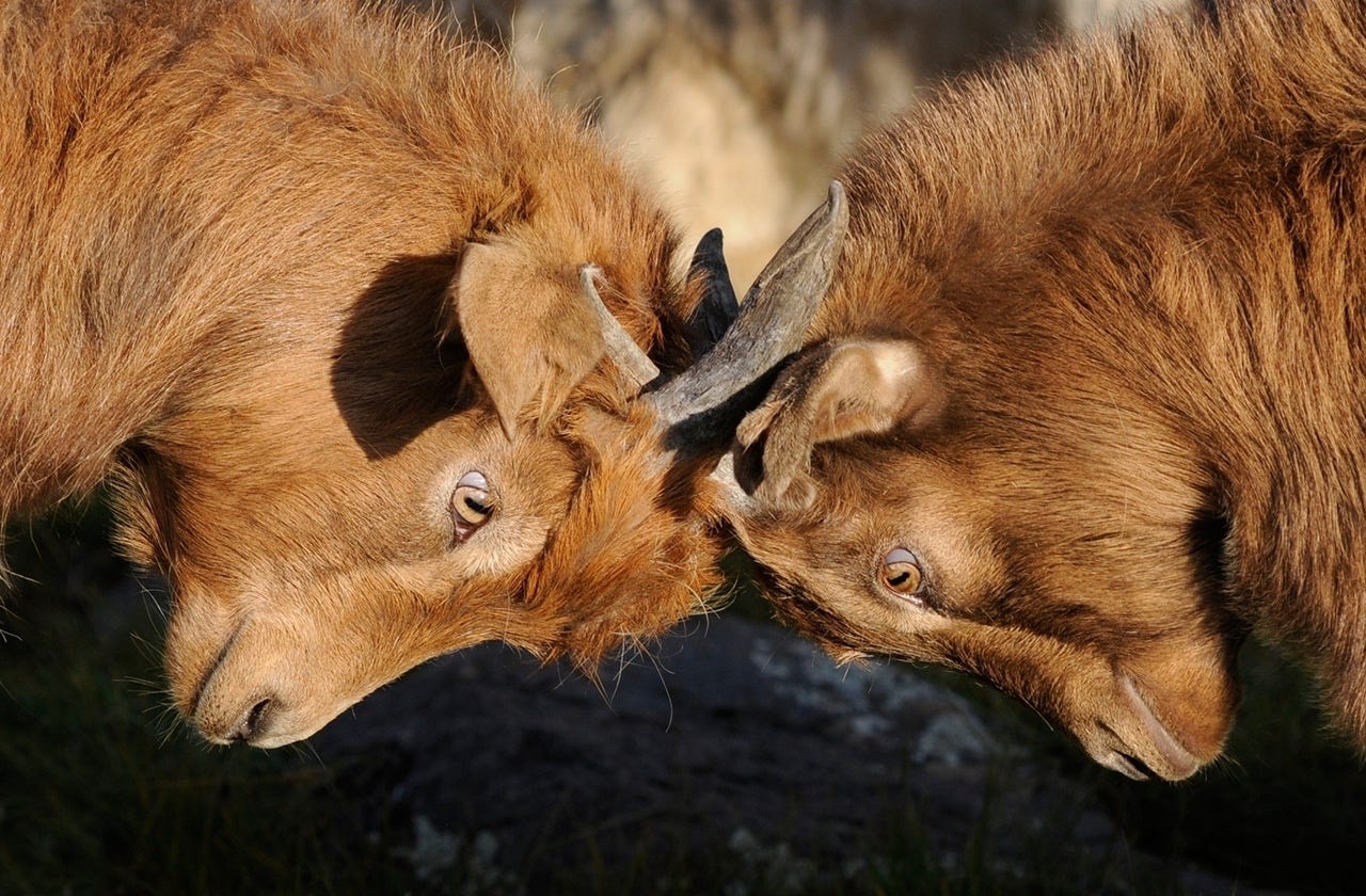 Avoid Quarreling About Words