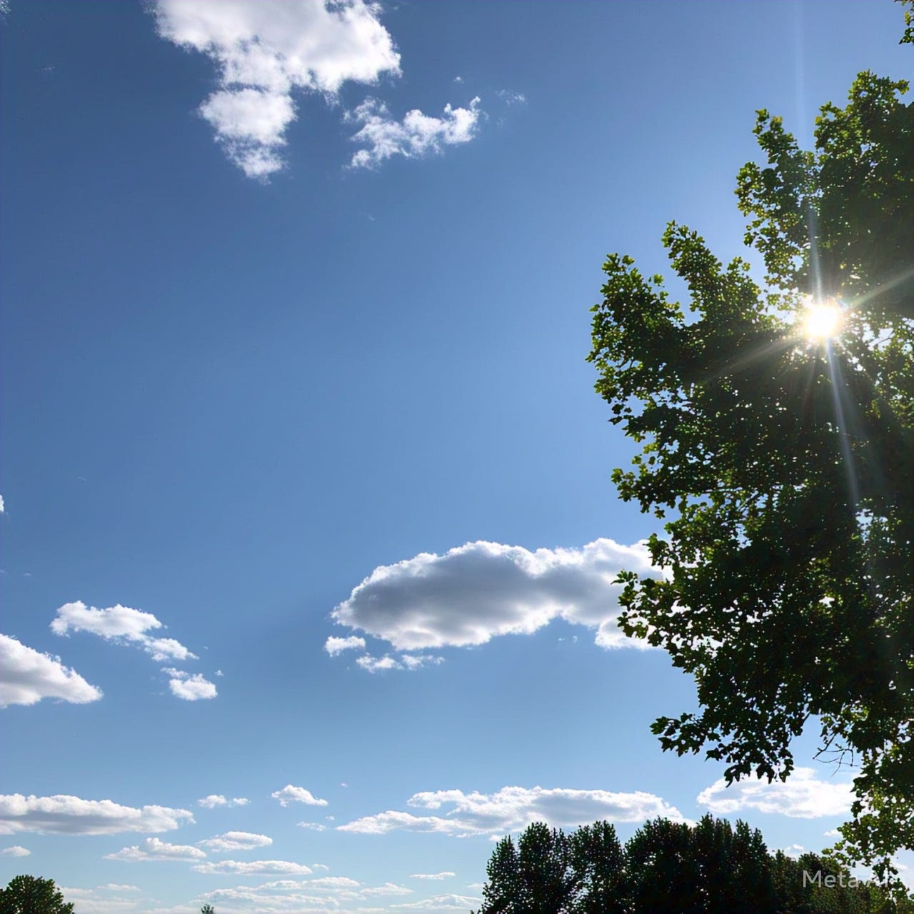 Summer Weather is a high temperature and high humidity.