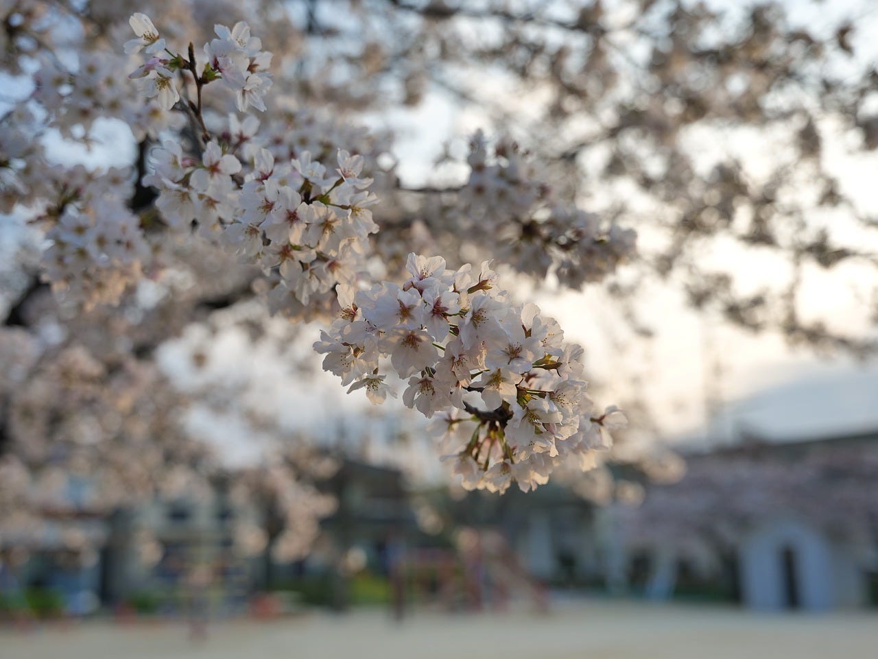Cultural Experiences and Hidden Gems in Aichi, Japan