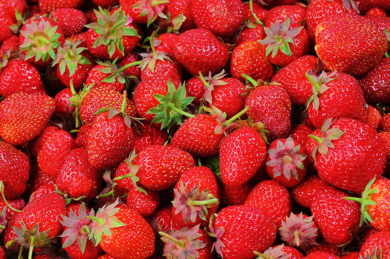 Strawberries guard against dementia