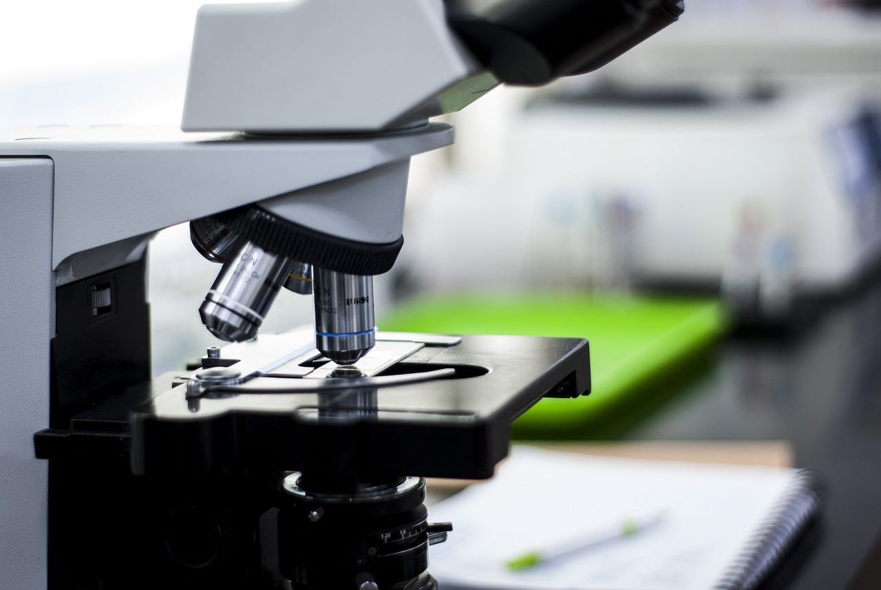 Toxicology Panel: Why Drug Testing Matters for Your Health and Safety