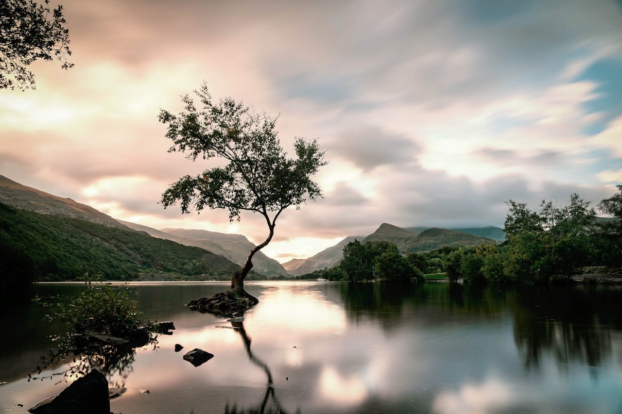 Meet Llamhigyn y Dŵr, Wales’ Forgotten Water Monster
