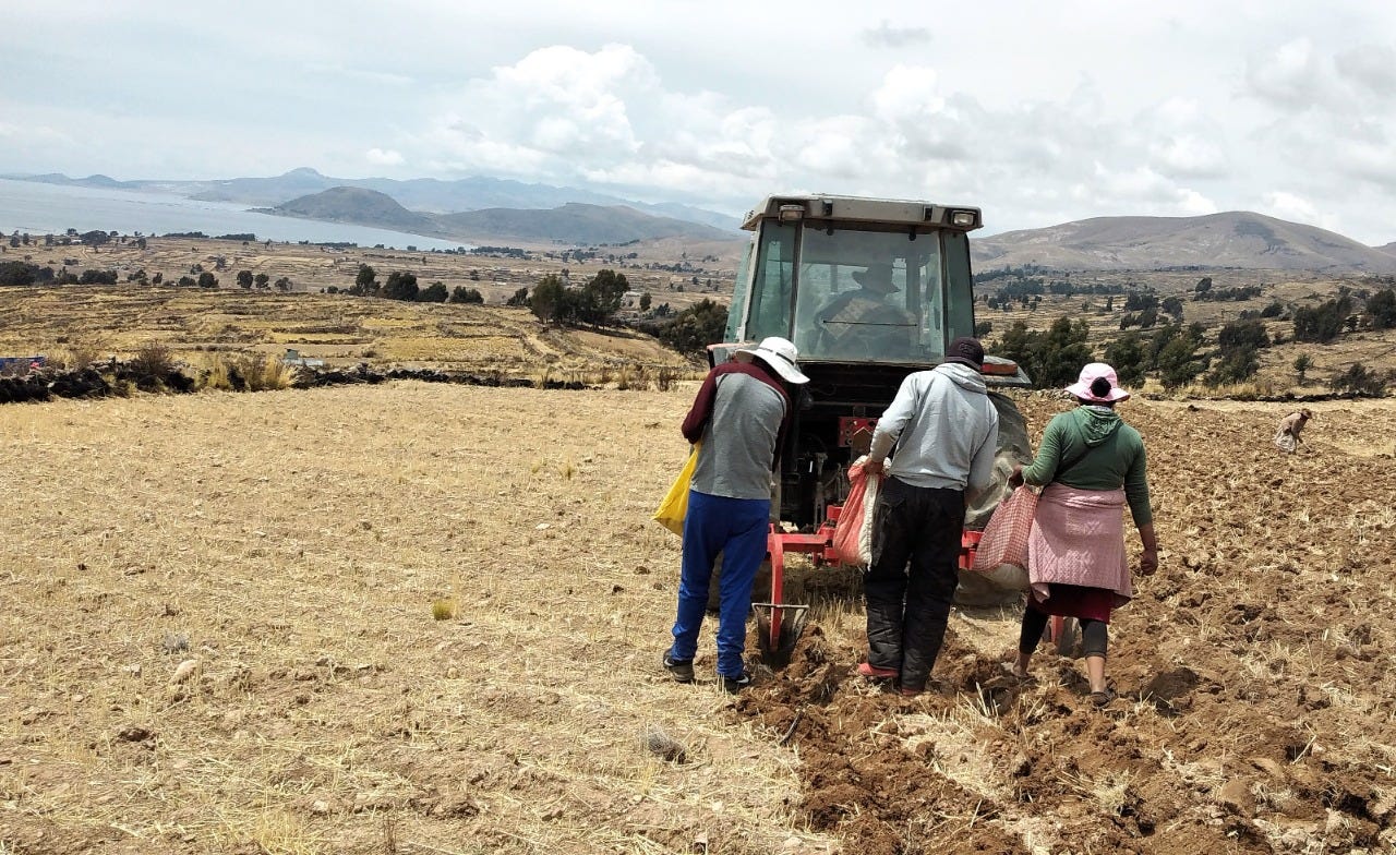 CUENCA DEL TITICACA: PRIMAVERA E INICIO DE SIEMBRAS DE CULTIVOS ANDINOS