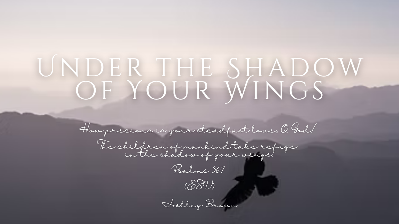 Under the Shadow of Your Wings