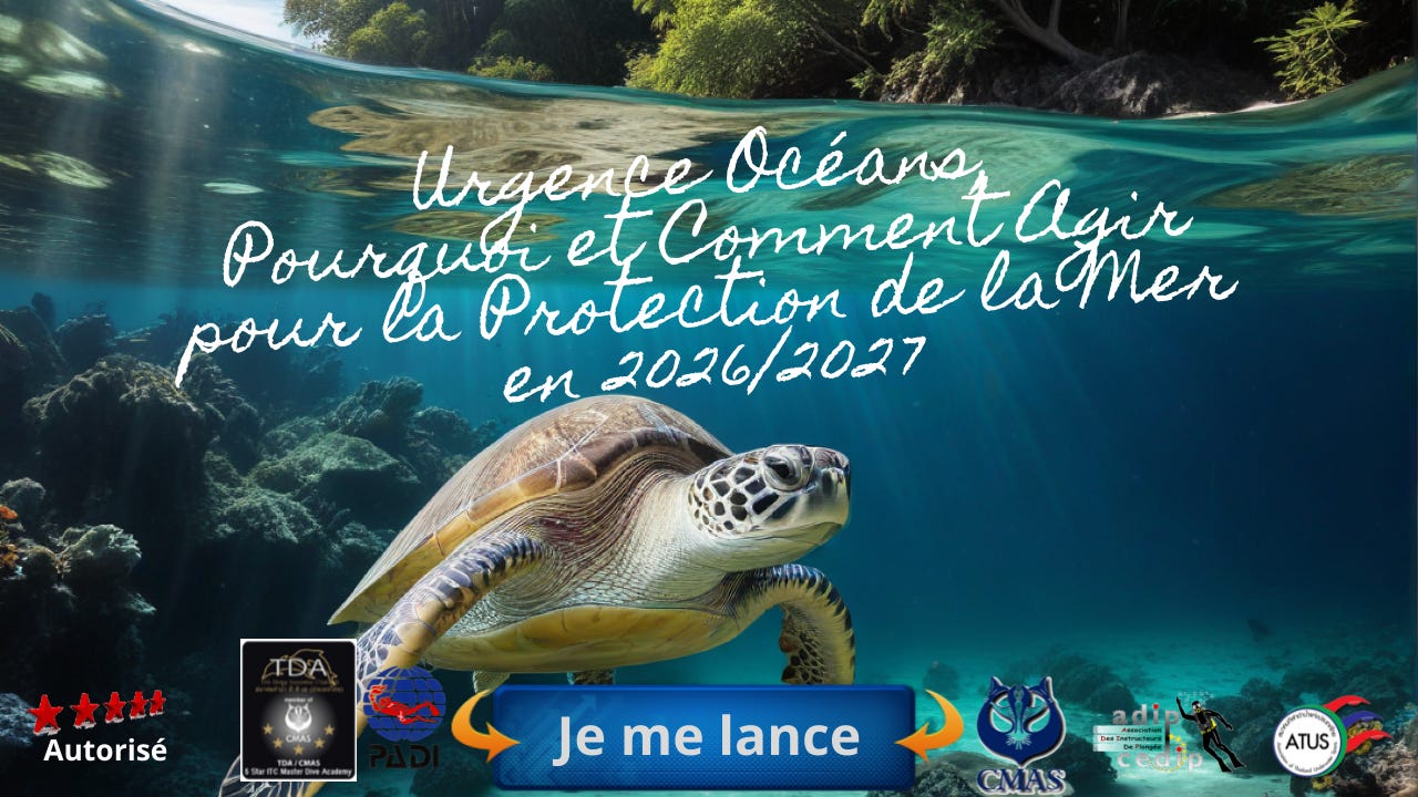 Suivez mes aventures @ https://protection-de-la-mer.plongee-asie.com/