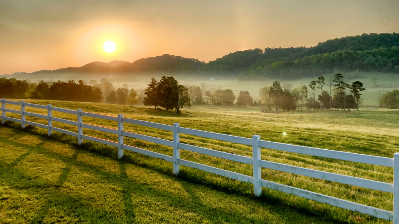 The Lessons I Learned From Tennessee’s Oldest Landscapes