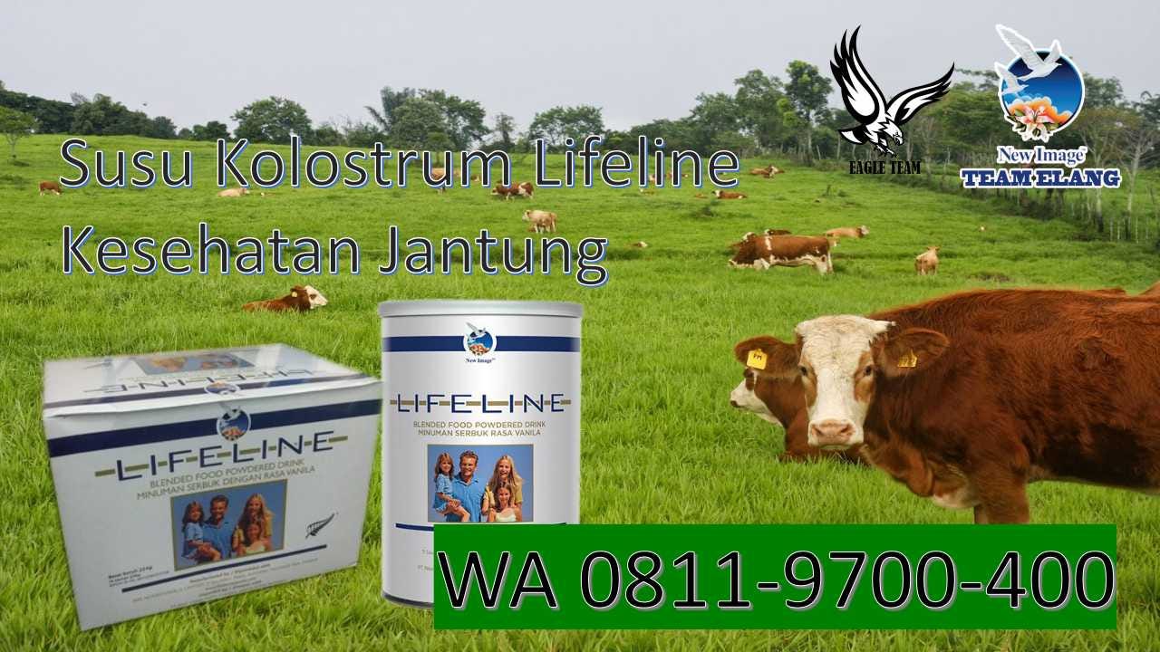 WA 0811–9700–400 / Susu Kolostrum Lifeline Formula Terbaik Di Bogor