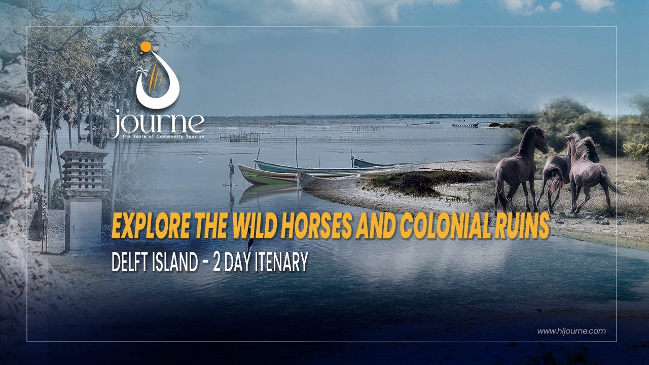 Delft Island: A 2-Day Itinerary for Exploring the Wild Horses and Colonial Ruins