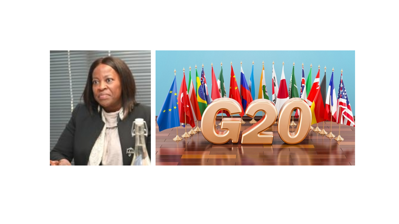 The Fourth G20 Development Working Group (DWG) Meeting — July 20–25, 2025