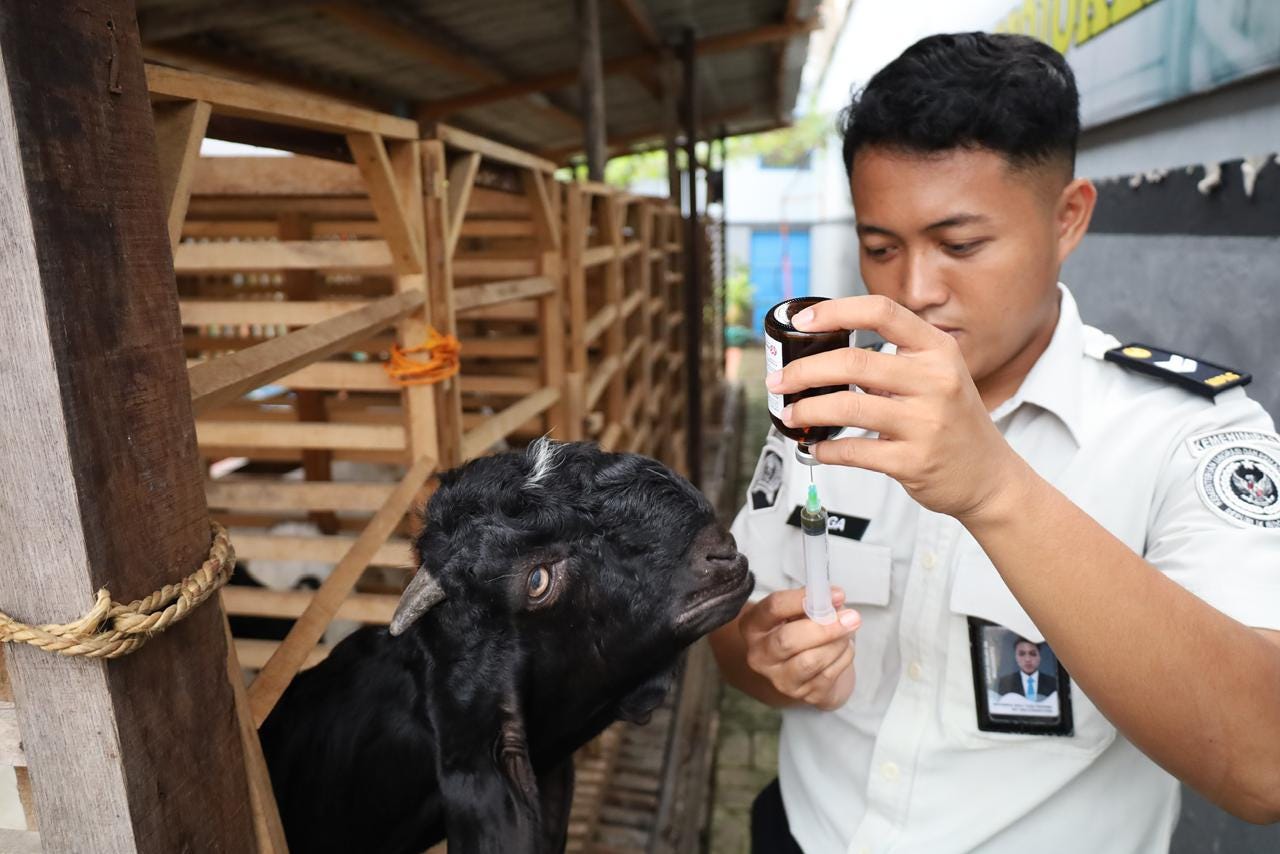 Tingkatkan Kesehatan Ternak, Lapas Mojokerto Lakukan Penyuntikan Kambing Berkelanjutan