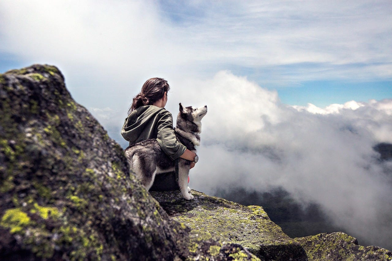 Image by Pexels from Pixabay