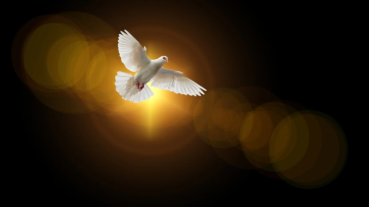 LORD God Yeshua Hamashiach is the Image of the invisible LORD Yahweh God.
