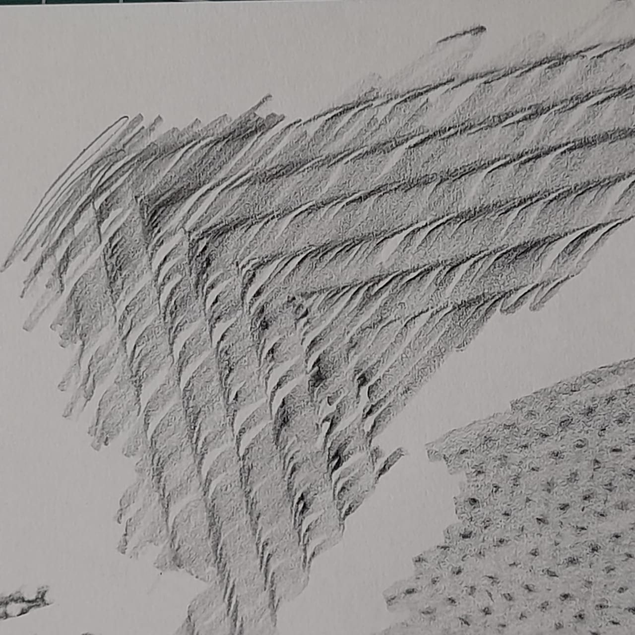 Dedal / Papel aluminio / Marco de cuadro
