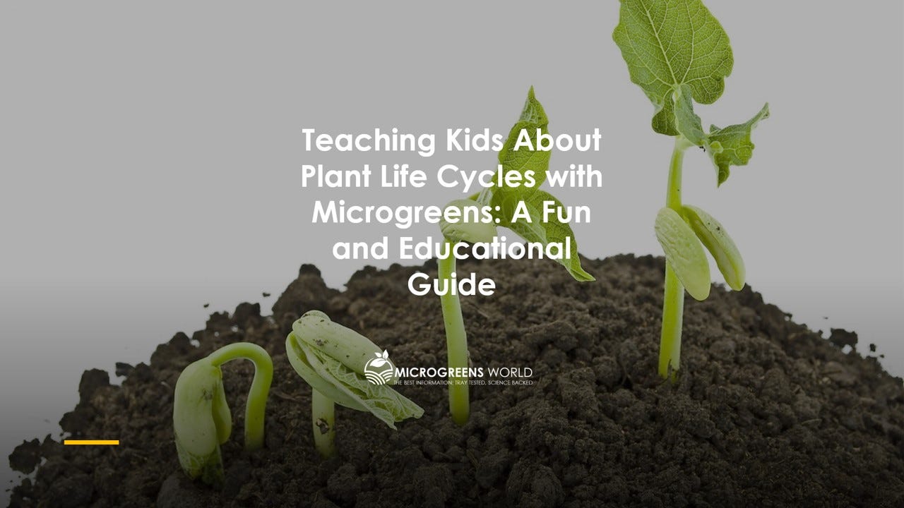 Teaching Kids About Plant Life Cycles with Microgreens: A Fun and Educational Guide