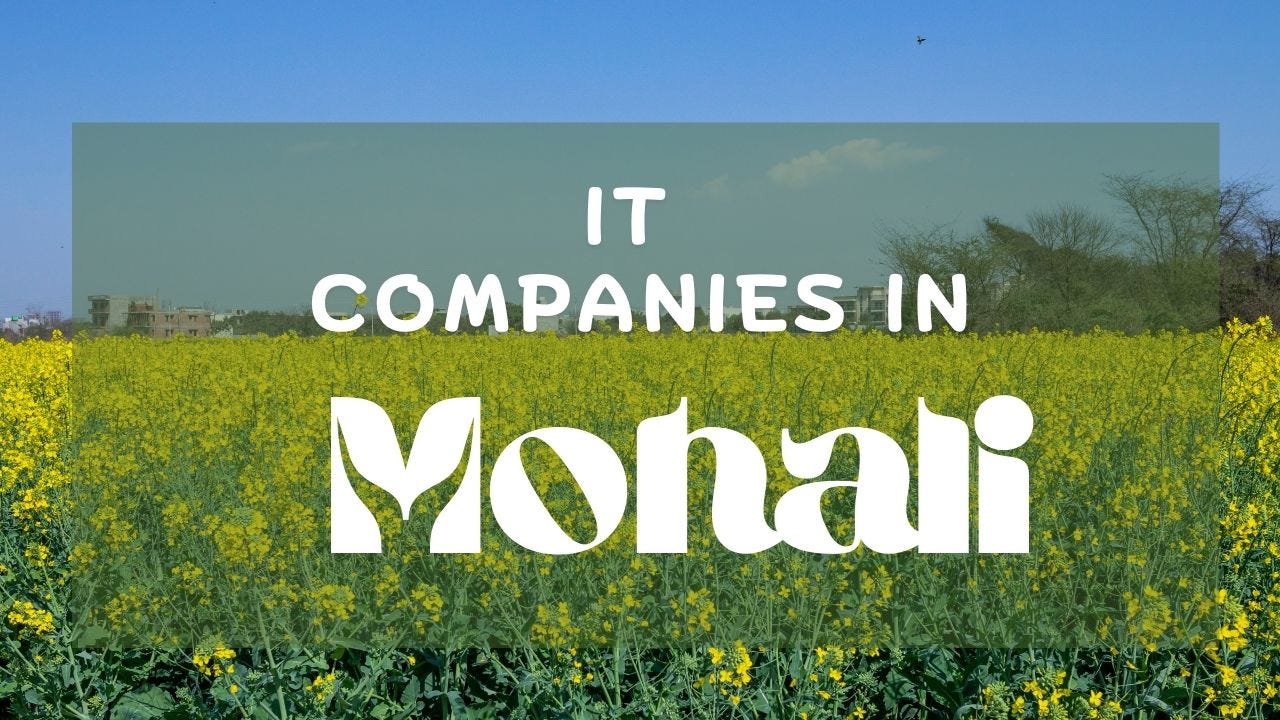 Best IT Companies in Mohali Chandigarh