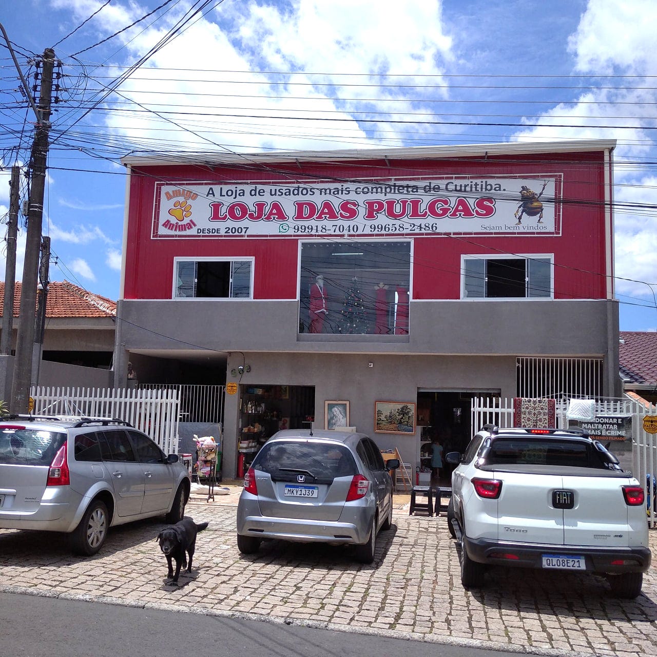 Loja das Pulgas — Curitiba-PR