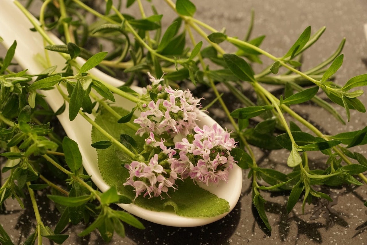 Exploring Thyme — The Centuries-Old Herb for Today’s Cooking