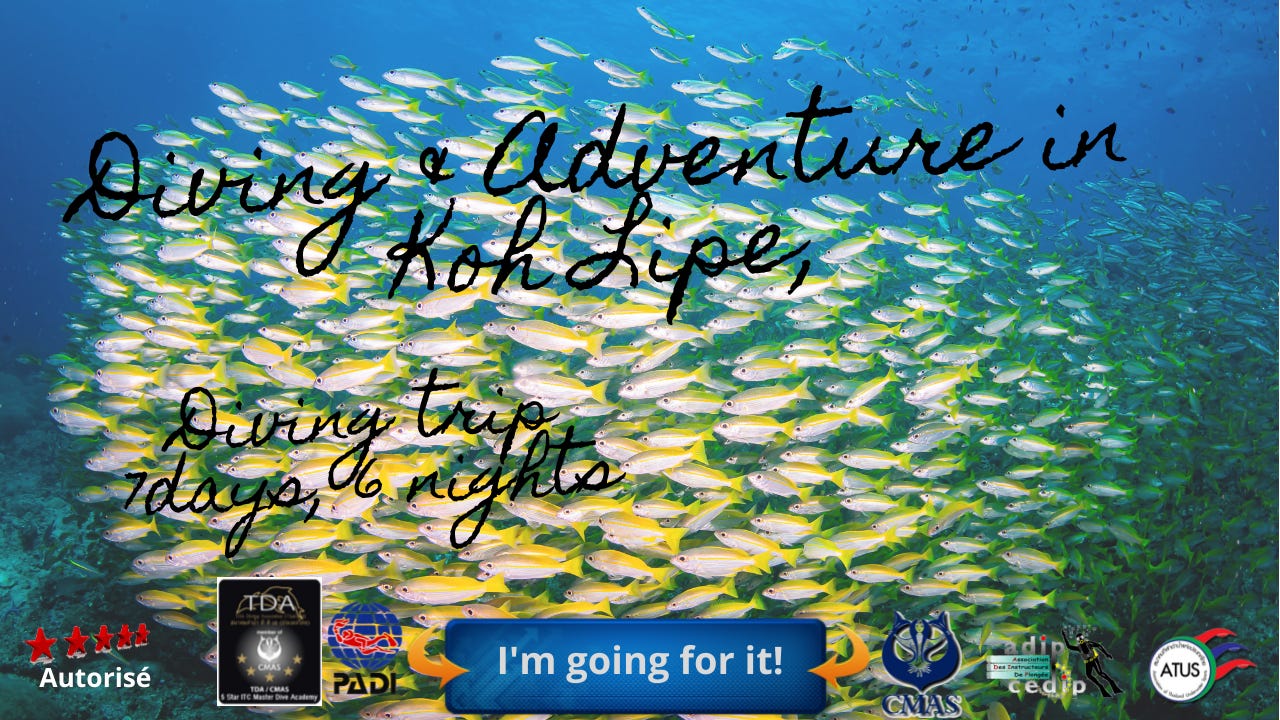 Follow my adventures @ https://koh-lipe.thailand-diving.org/