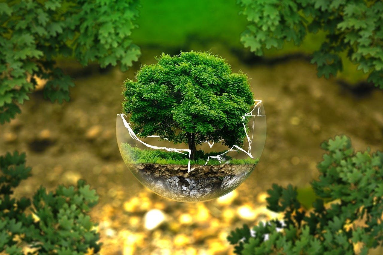 Nigeria, Make 2024 The Year Of The Environment