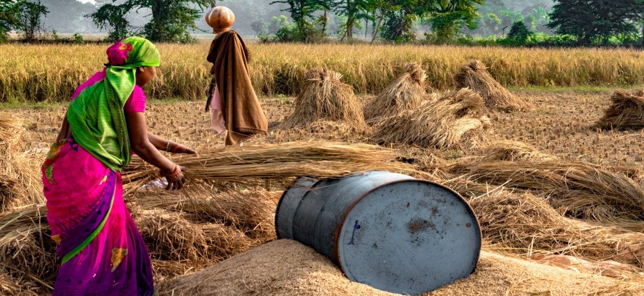 State Ranking Index for NFSA: Creating resilient food systems to optimize the delivery of benefits