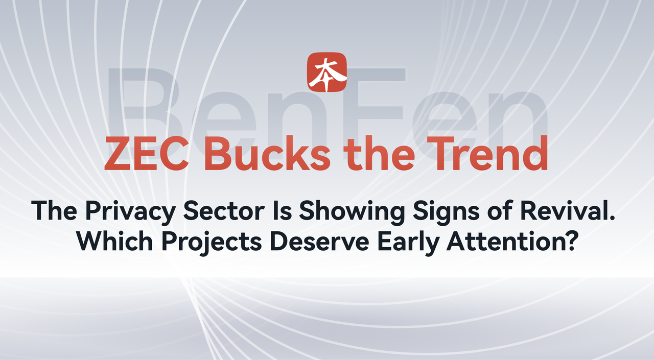 ZEC Bucks the Trend: The Privacy Sector Is Showing Signs of Revival.