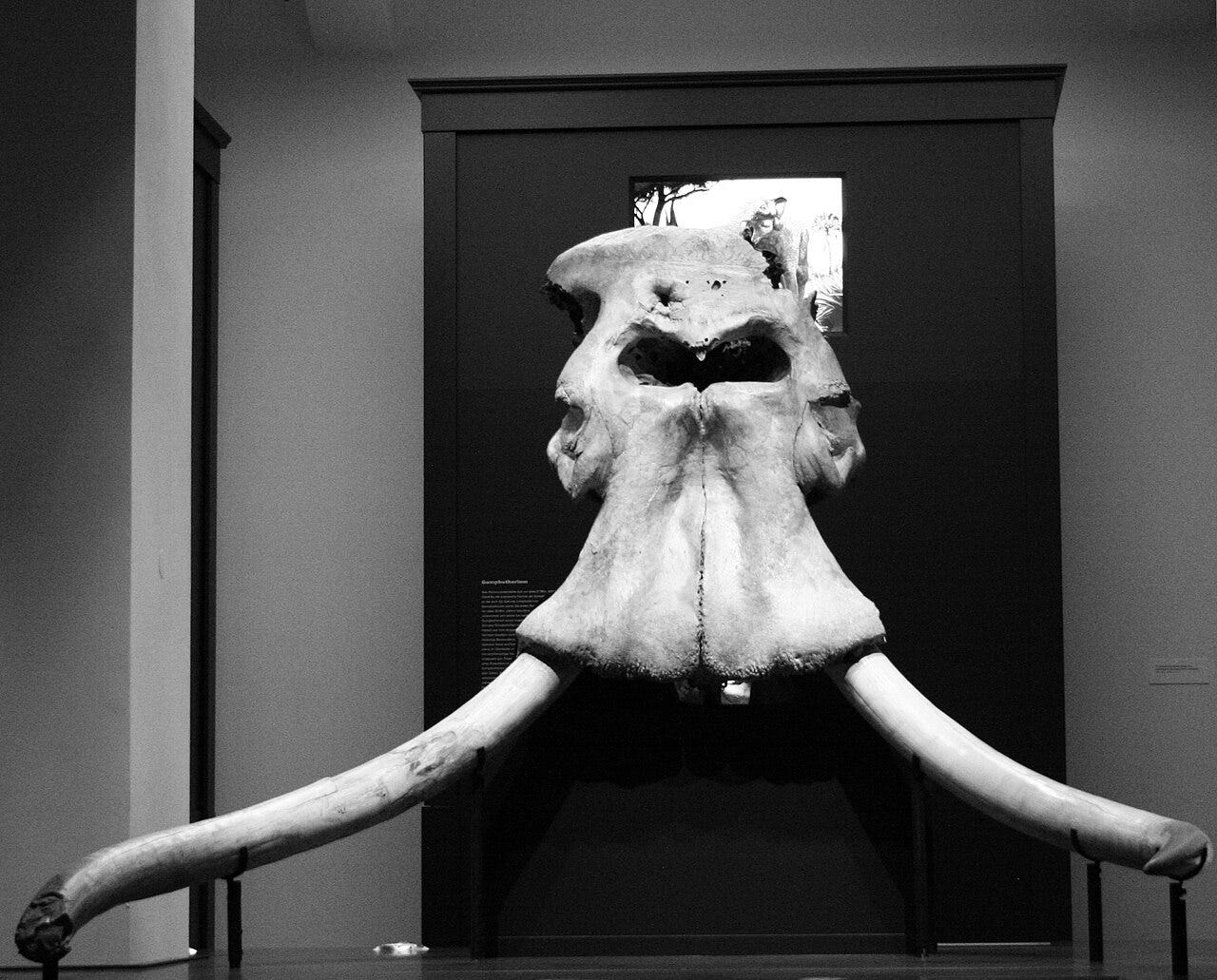 Could Europe Still Support the Straight-Tusked Elephant?