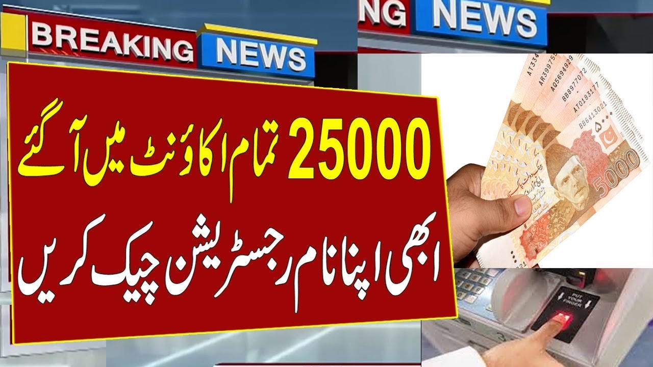 Ehsaas Program 25000 Online Registration 2022