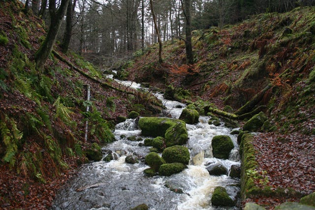 We never go down to the same stream twice (Heraclitus).