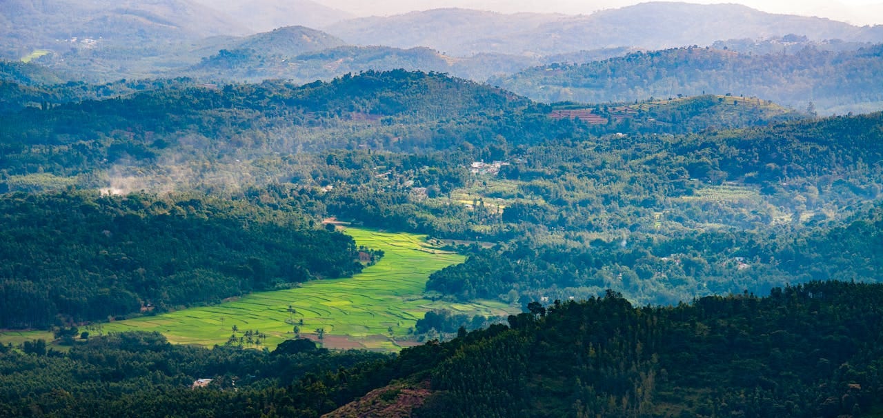 Coorg Tour from Bangalore: The Complete Travel Guide