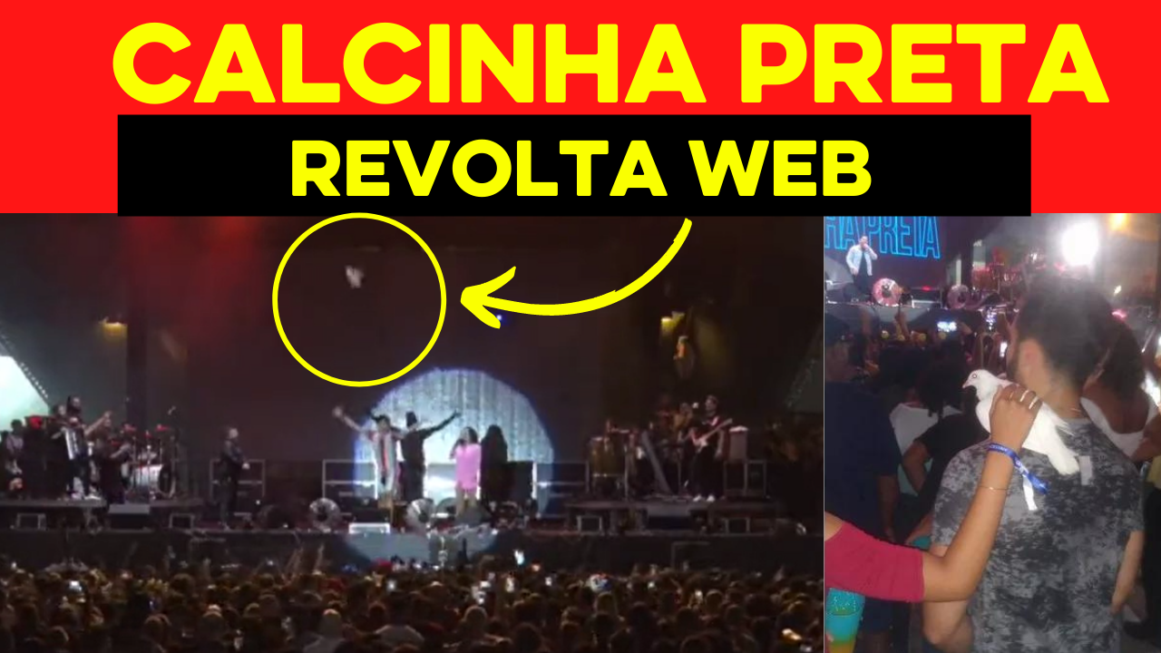Calcinha Preta: Homenagem com pomba em show dá errado e ave cai no público