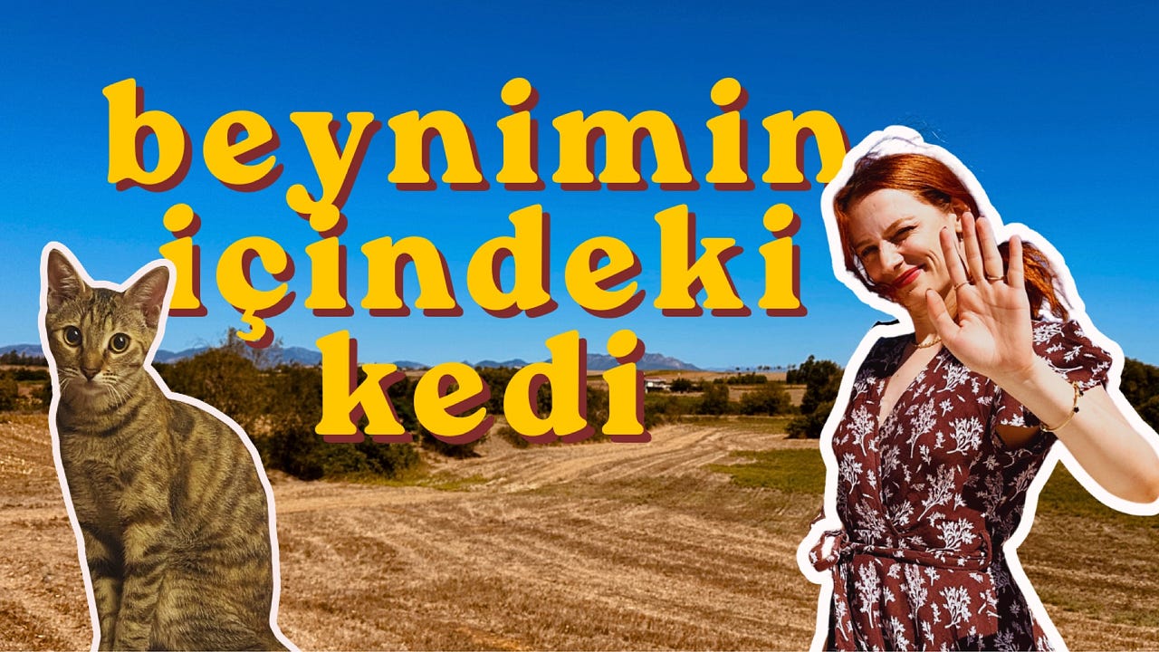 Beynimin İçindeki Kedi