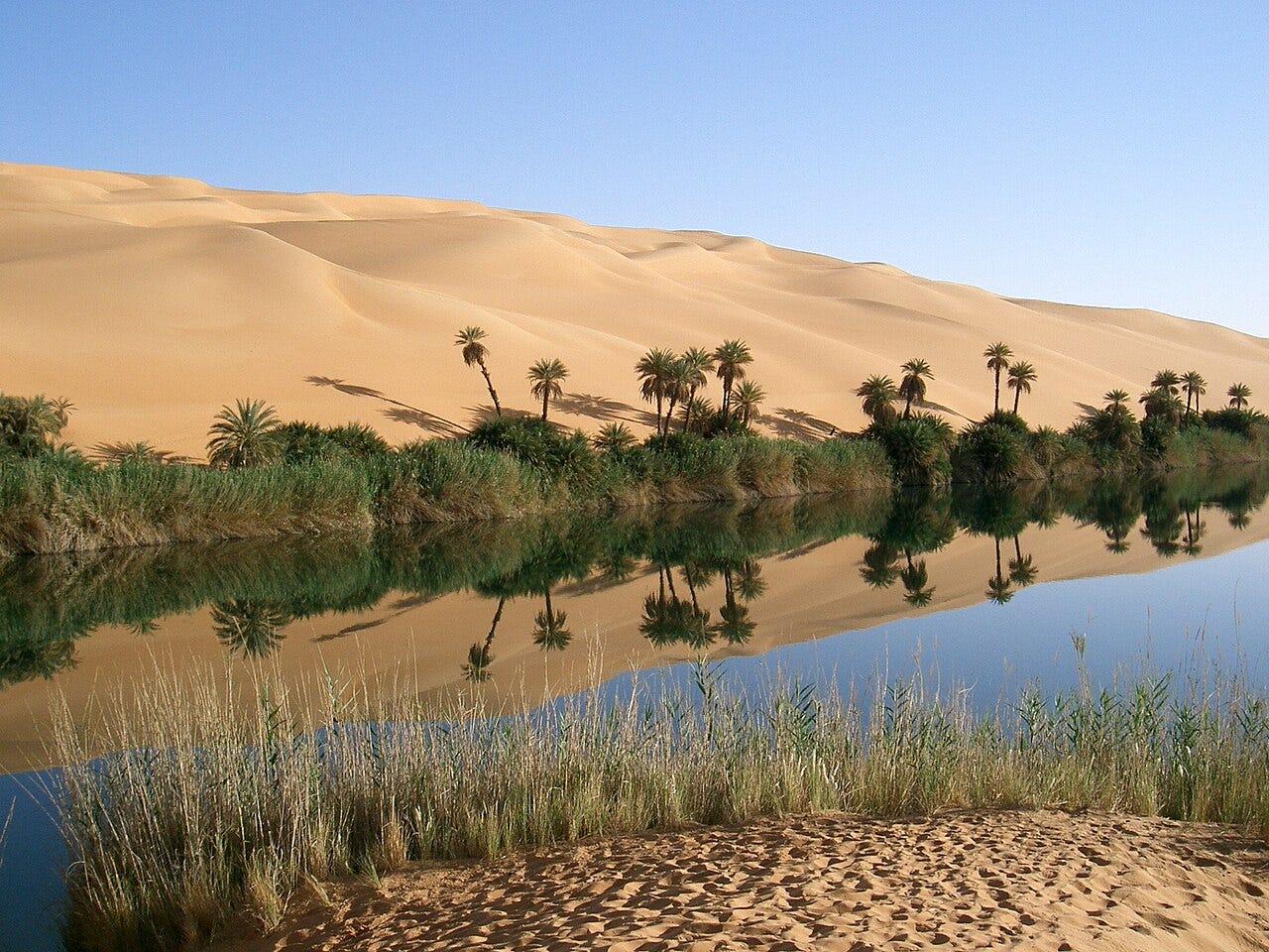 Is Islamic Law “An Old and Unchanging Code”?: What the Sharīʿah Seeks to Protect — Part Two