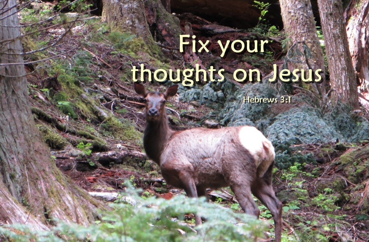 Fix Your Thoughts on Jesus