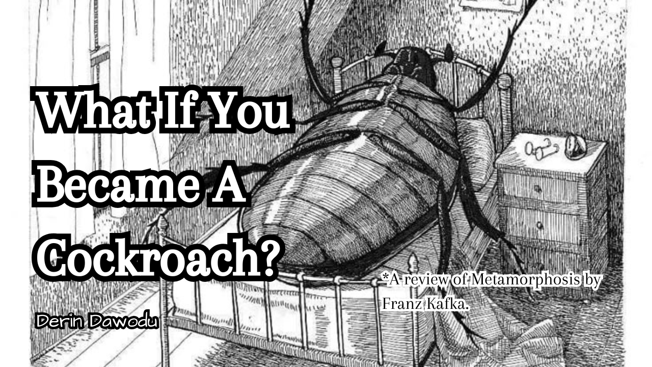 What If You Became A Cockroach?