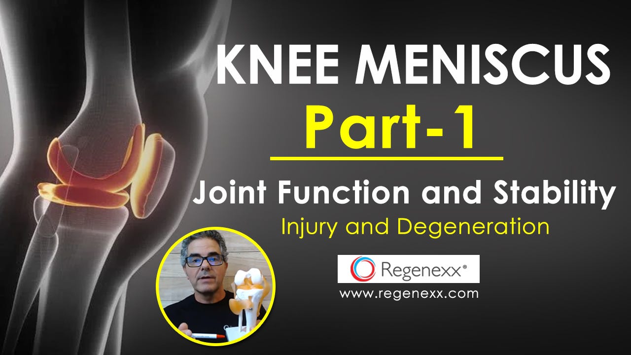 Knee Meniscus Part 1 — Anatomy, Joint Function and Stability, Injury and Degeneration — Regenexx