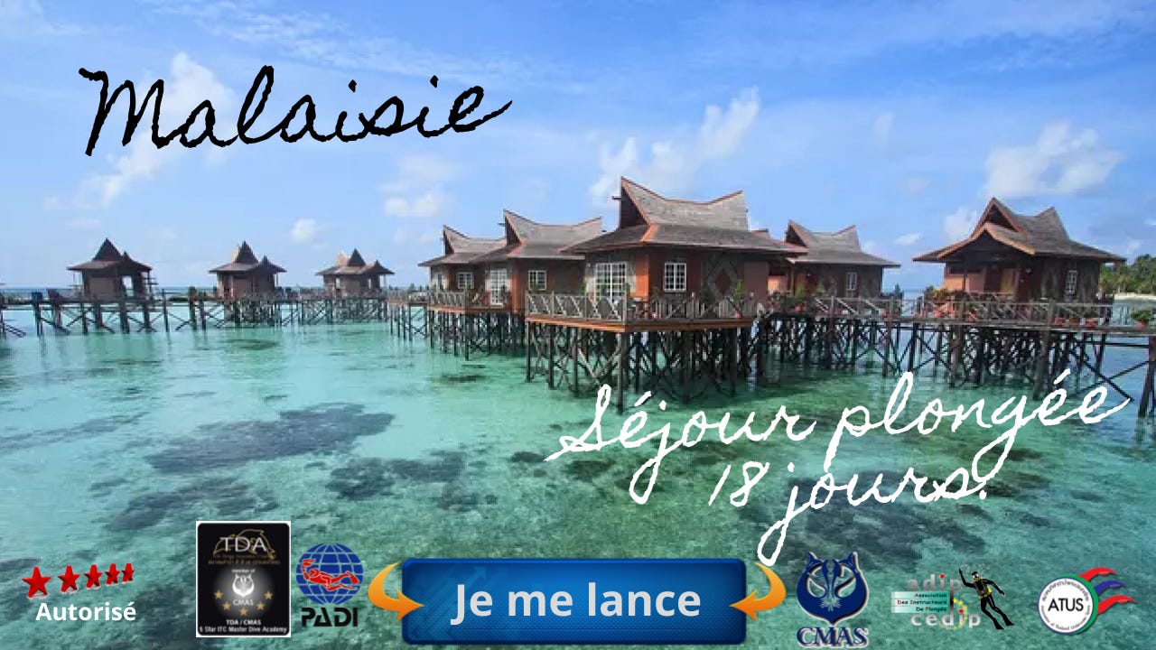 Suivez mes aventures @ https://malaisie.plongee-asie.com/