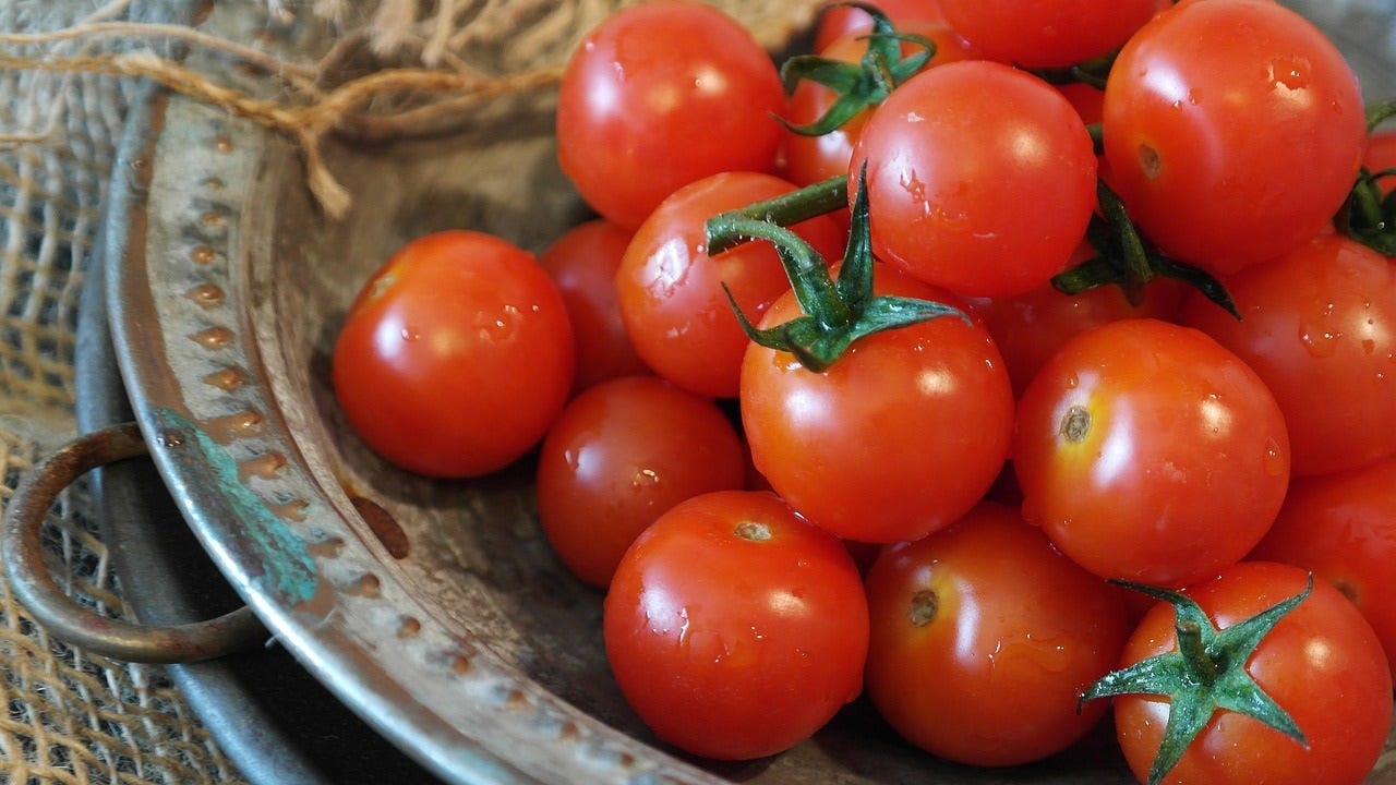 Tomatoes: The “Forbidden Fruit” In the Garden of Eden?