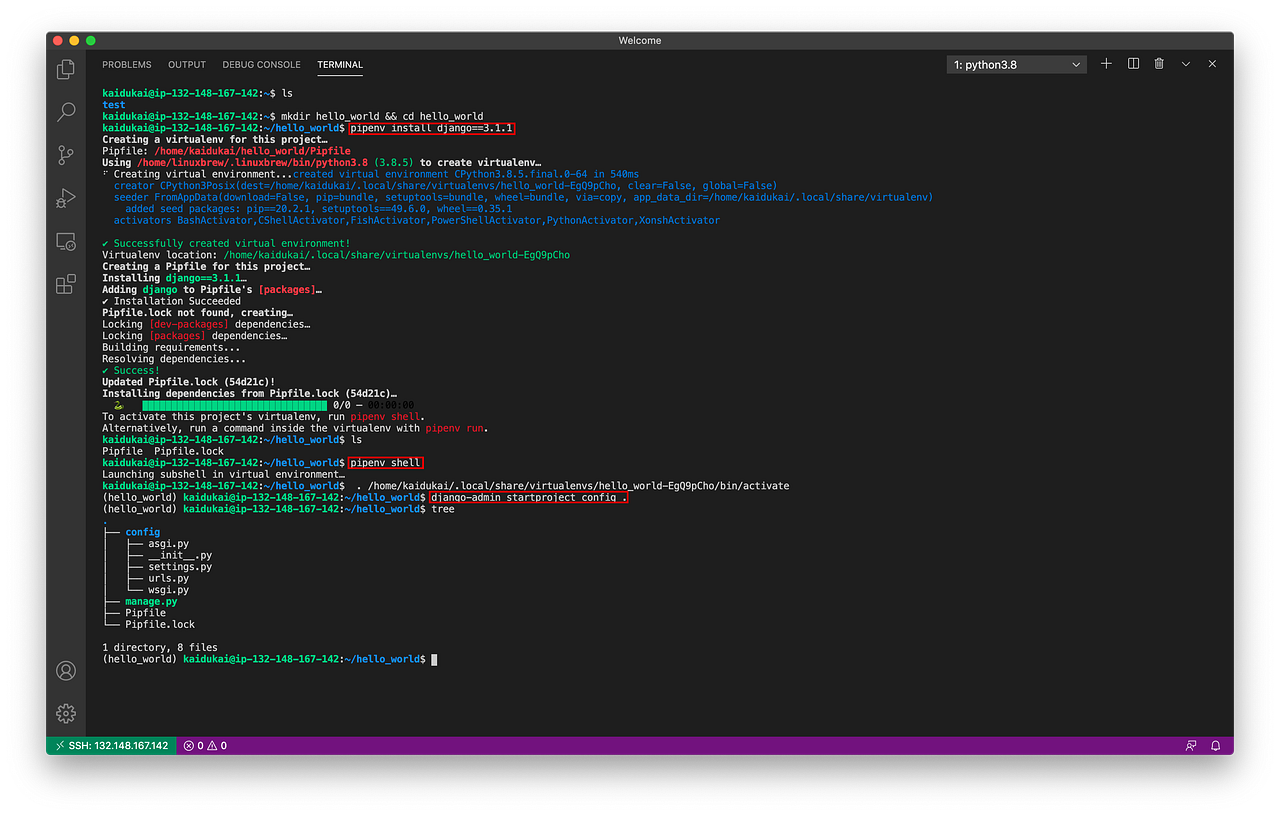 Django virtual environment. Django virtual environment