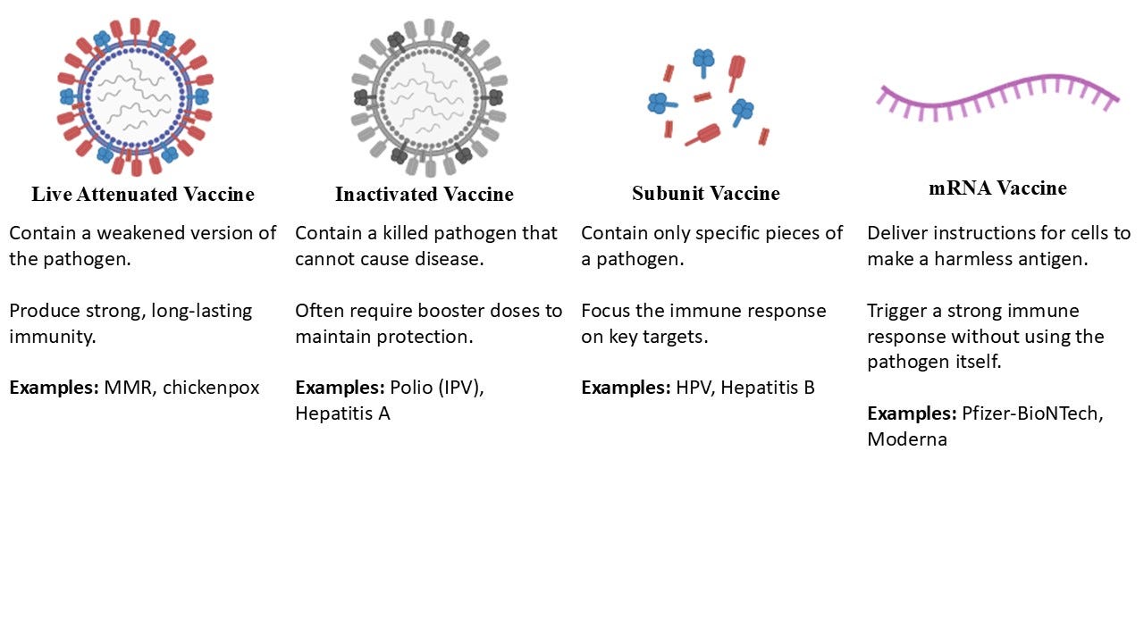 What Makes a Vaccine Effective?