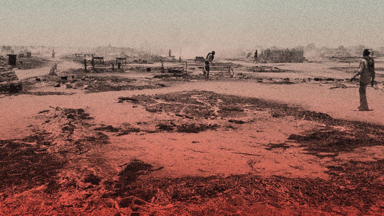 (source: https://www.economist.com/interactive/briefing/2024/08/29/satellite-images-siege-sudan-darfur-el-fasher)