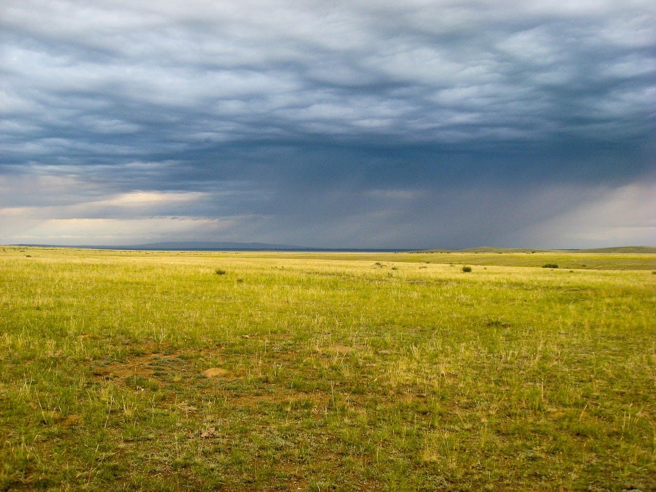 Exploring the Eurasian Steppe: A Tapestry of History, Geography, and Biodiversity