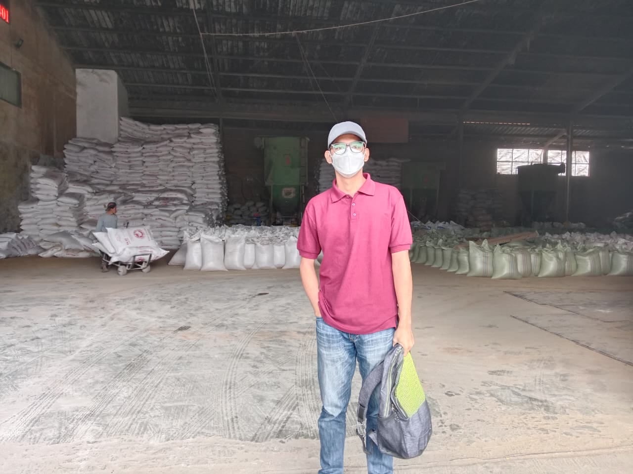 Krisis Pakan Sapi Perah Indonesia: