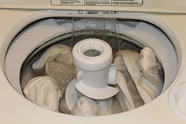 Can Bed Bugs Survive in Clothes Washers? Shocking Truth Revealed