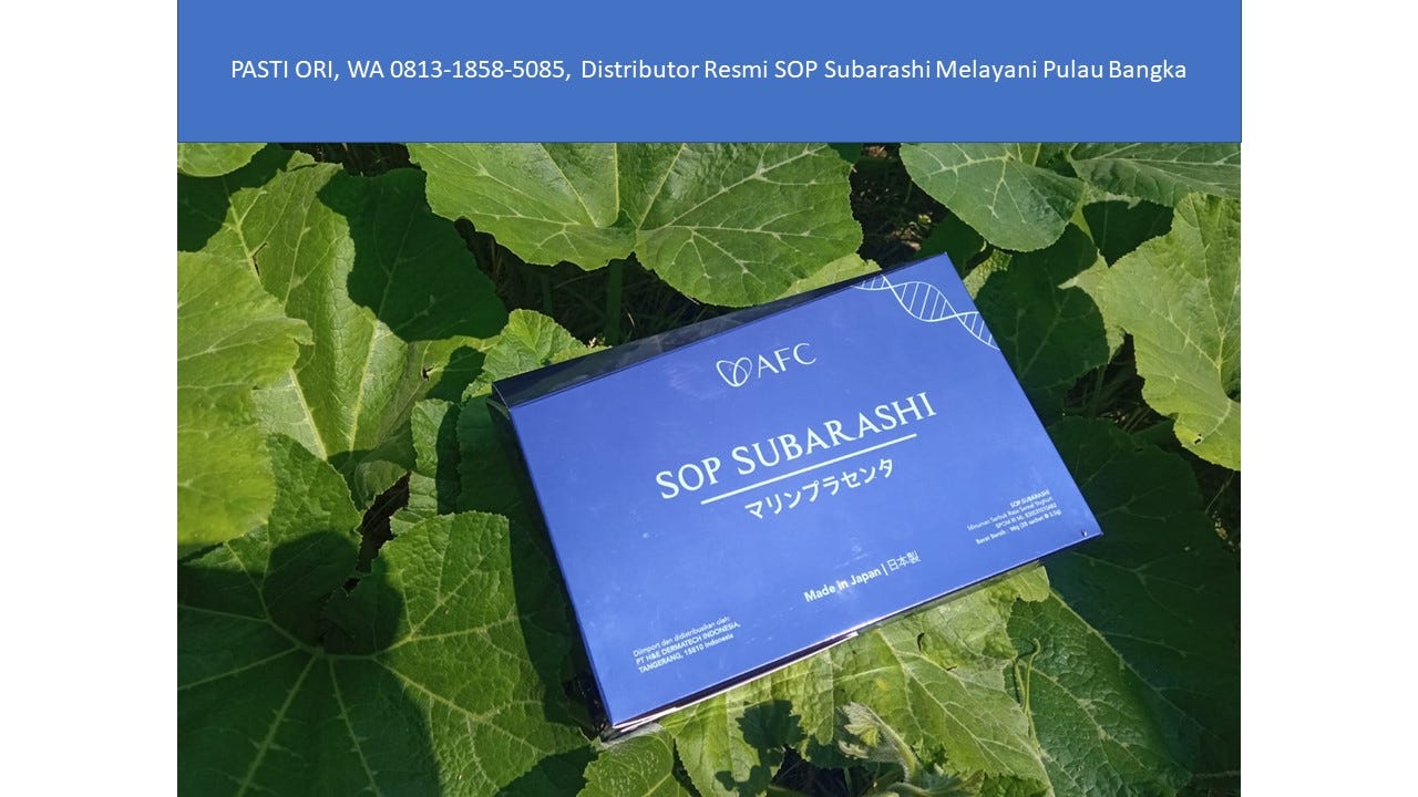 PASTI ORI, WA 0813–1858–5085, Distributor Resmi SOP Subarashi Melayani Pulau Bangka
