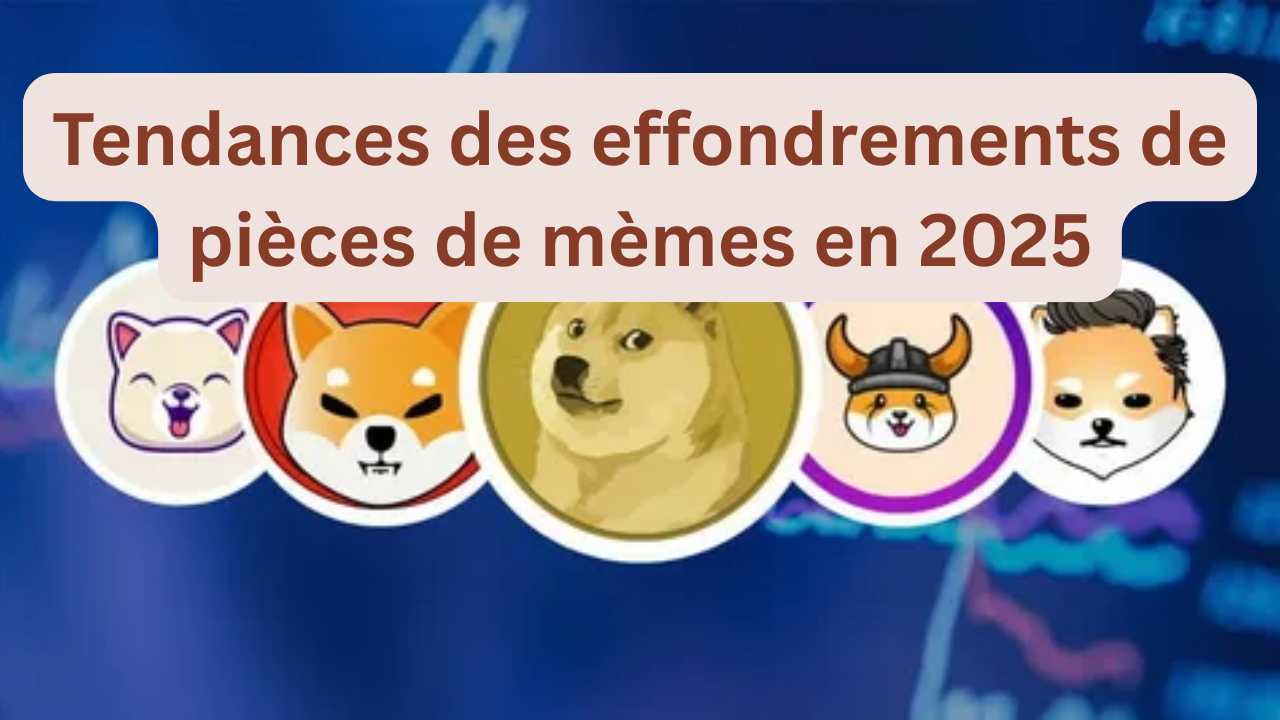 Tendances des effondrements de pièces de mèmes en 2025