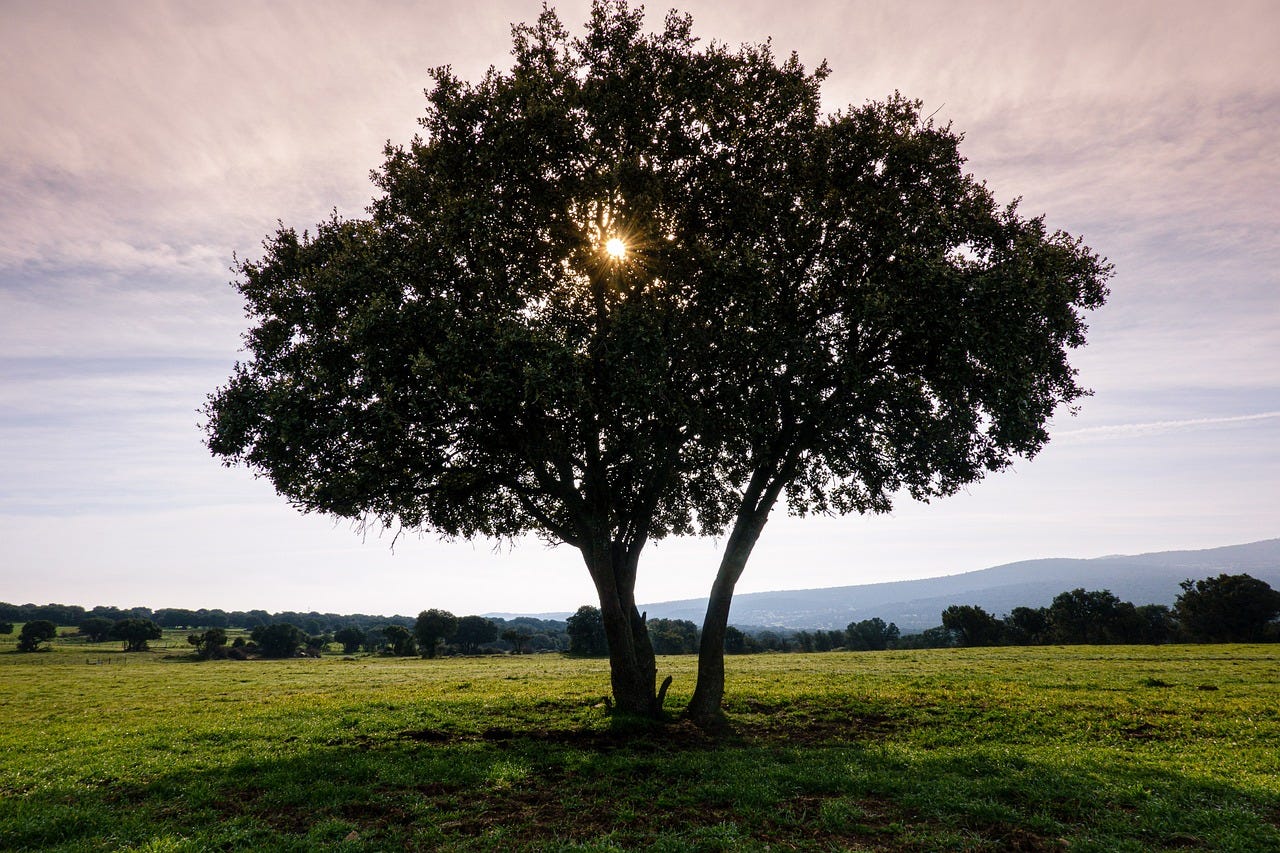 Quietud