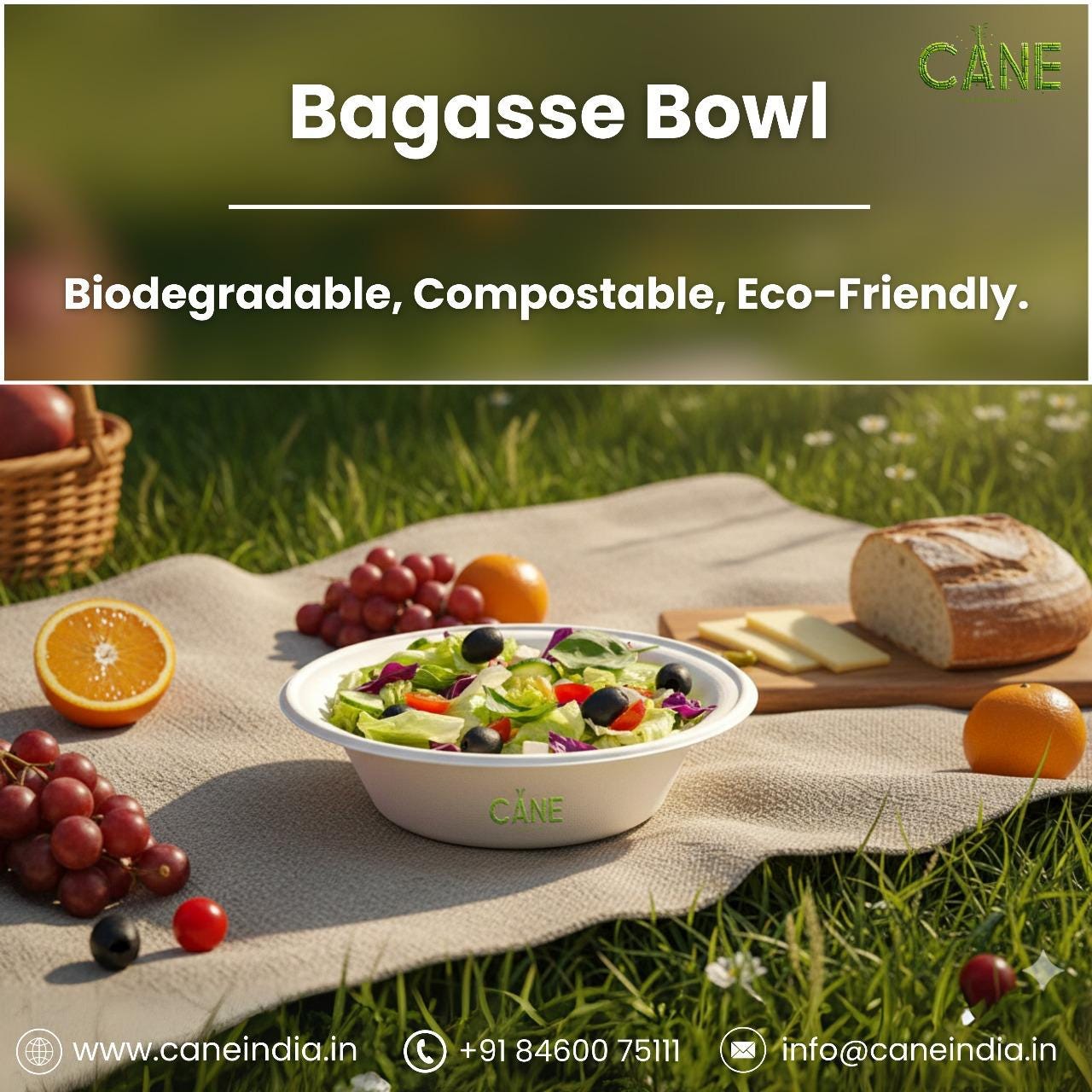 CANE — Biodegradable & Compostable Eco-friendly Products Manufacturer and Exporter.