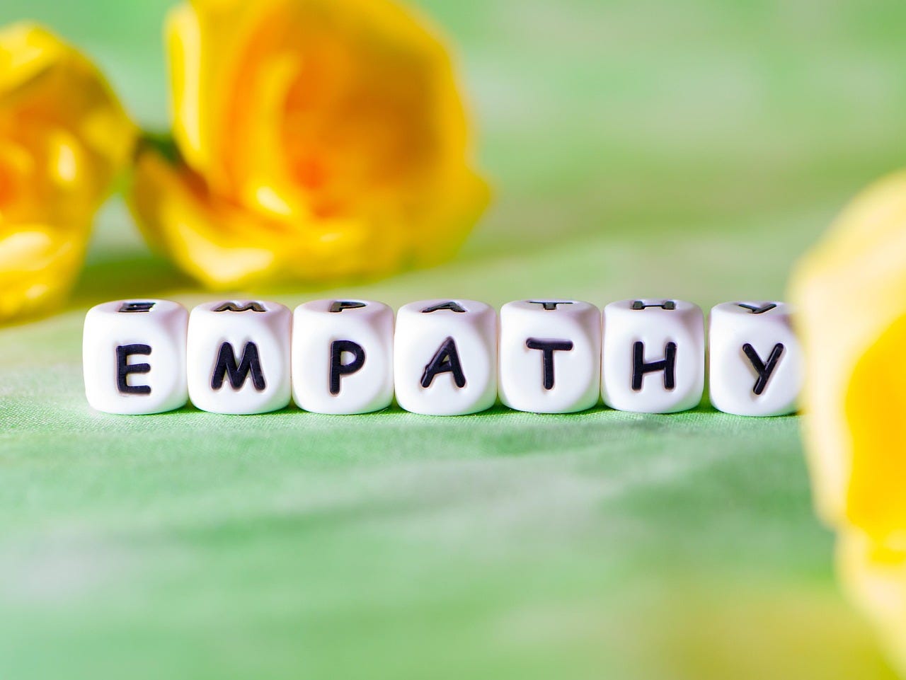 The Lost Art of Empathy