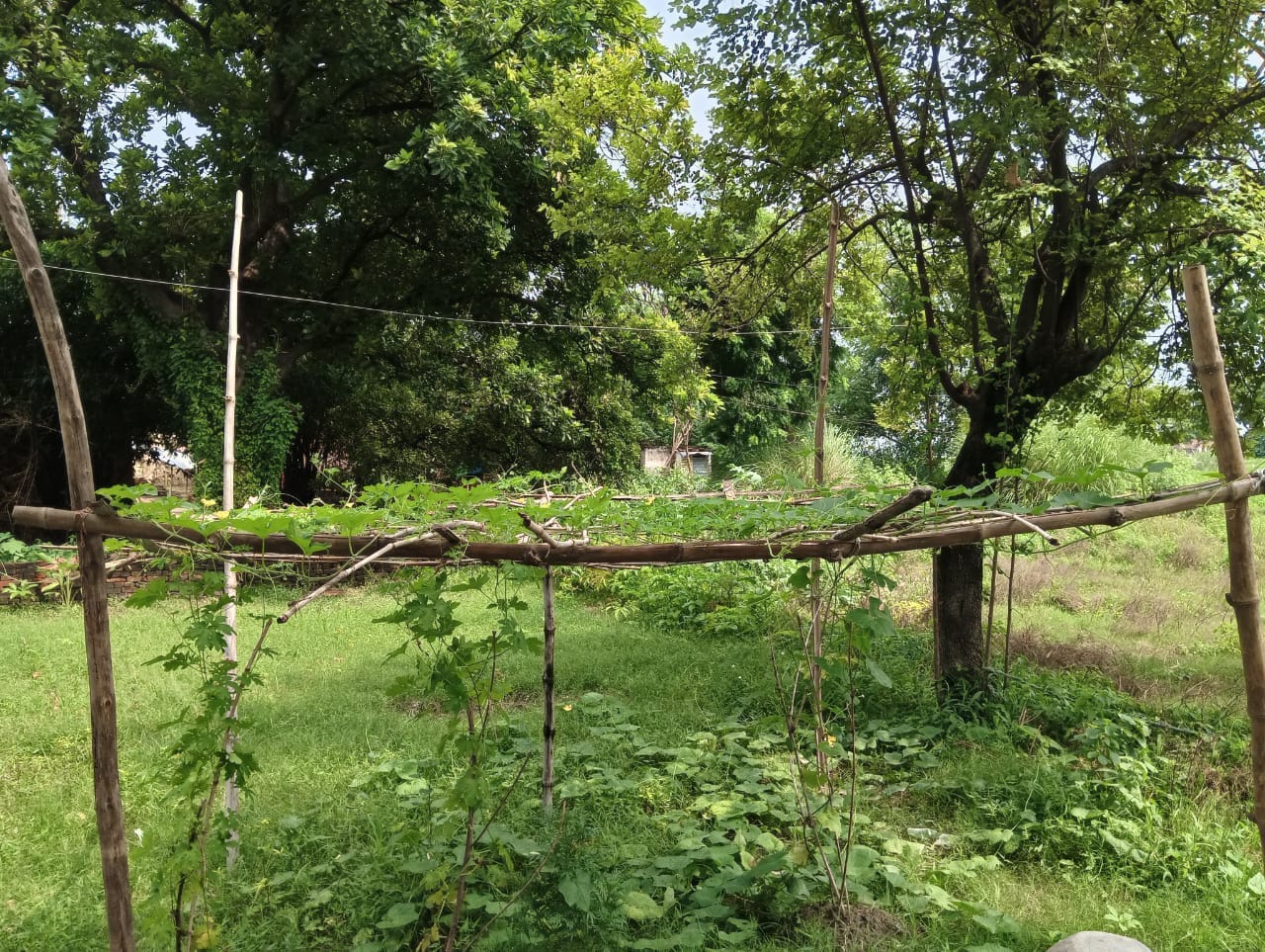 Empowering Marginalized Communities through Grassroots Action: A Journey of Hope and Change